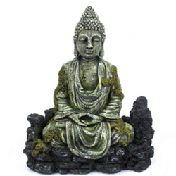 AquaWorld Bhudda Meditating 14x7x17cm