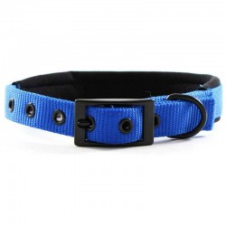 Yours Droolly Foam Collar Blue-M