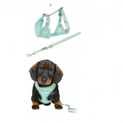 Brookland TrixieJunior Puppy Soft Harness with Leash-Grey