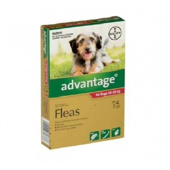 Advantage Fleas Treatment for Dog 10-25kg 4 Pack