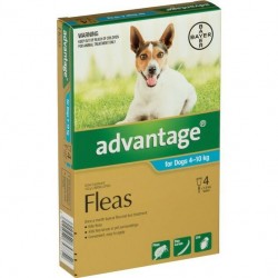 Advantage Flea Treatment For Dogs