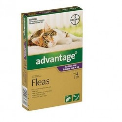 Advantage Flea Treatment for Cat and Rabbits Over 4kg--4 Tubes