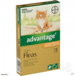 Advantage Flea Treatment for Cat and Rabbits Under 4kg-6pak