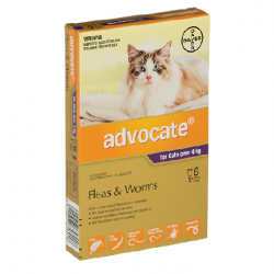 Advocate Flea and Worm Treatment for Cat over 4KG-6 pack