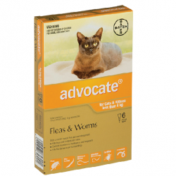Advocate Flea and Worm Treatment for Cat and Kittens under 4KG-6  pack