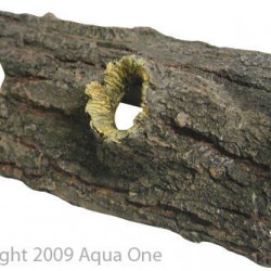 Aqua One Ornament - Log With Holes 21x10.5x8cm Large
