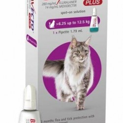 Bravecto Spot on Flea and Tick  Plus a worming Treatment for Cat 6.25 to 12.5kg