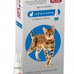Bravecto Flea and Tick Protection with worming Treatment Plus for Cat 2.8-6.25kg