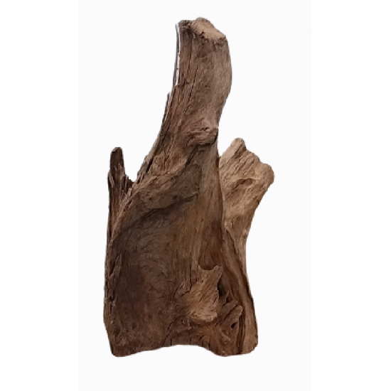 Driftwood 55cm+  Xlg