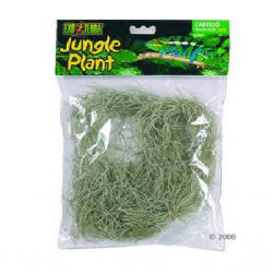 Exo Terra  Jungle Plant Cabello spanish moss-small