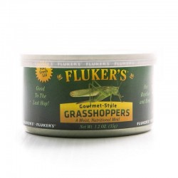 Fluker's Gourmet-Style Grasshoppers 35g