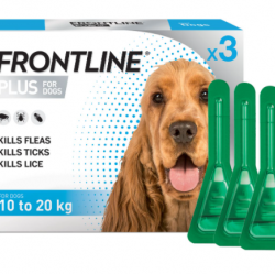 FRONTLINE PLUS FOR DOGS 10-20KG - PACK OF 3