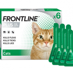 FRONTLINE Plus  for Cats-6 pack