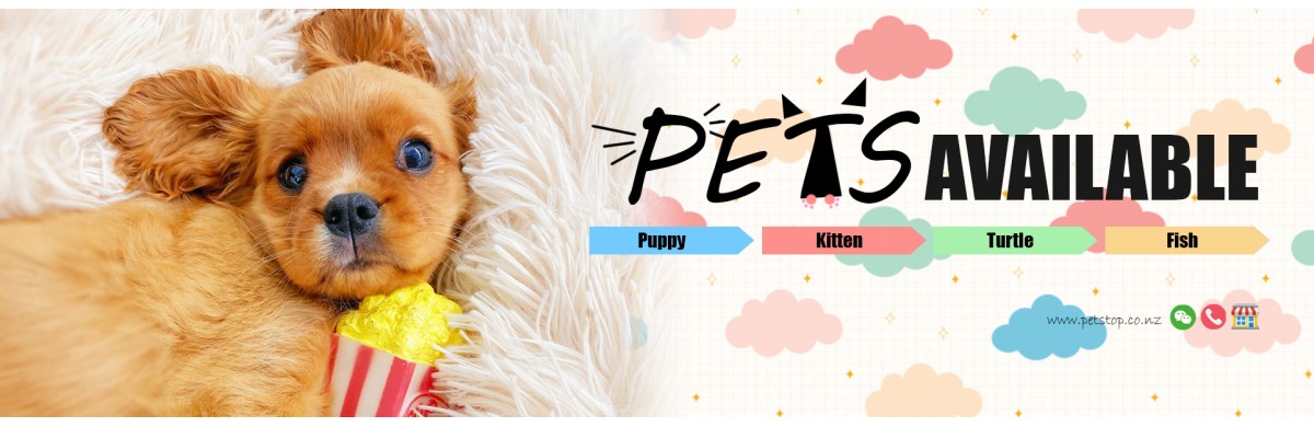 Petstop