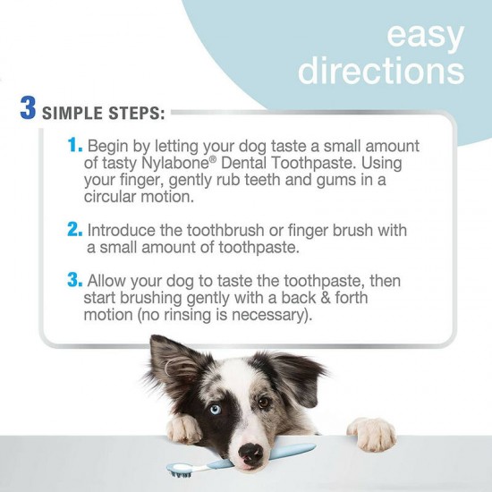 Nylabone Advanced Oral Care Dental Kit