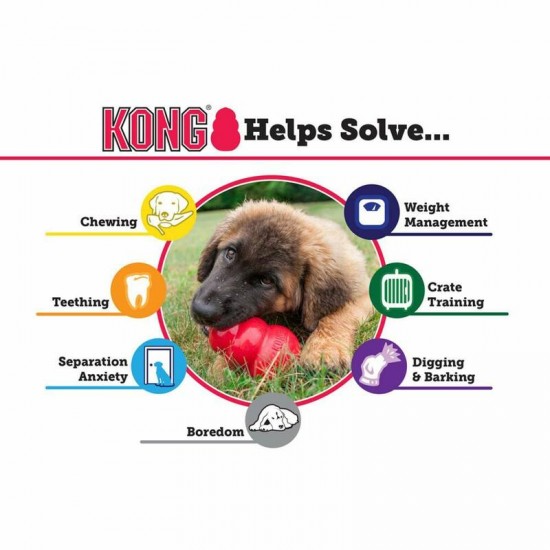 KONG Puppy toy assorted color - Medium size