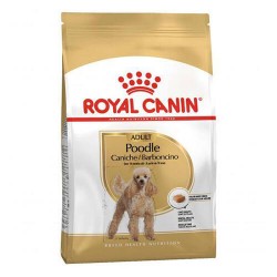 Royal Canin Dog Food- Poodle Adult 1.5kg
