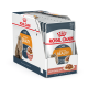 Royal Canin Intense Beauty in Gravy 85g*12 pouches