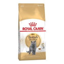 Royal Canin Cat Food-British Shorthair Adult 10kg