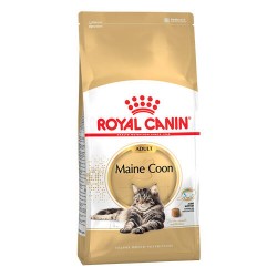 Royal Canin Cat Food-Maine Coon Adult 10kg