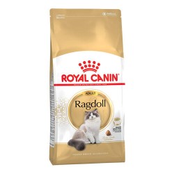 Royal Canin Cat Food-Ragdoll Adult 10kg
