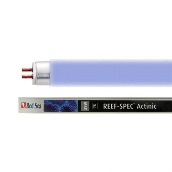 Red Sea T5 Light bulb 80W - Actinic