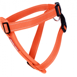 EzyDog Chest Plate Harness - S-Orange