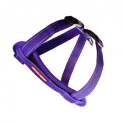 EzyDog Chest Plate Harness - XS-Purple