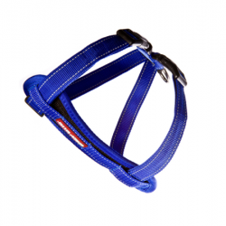 EzyDog Chest Plate Harness - M-Blue