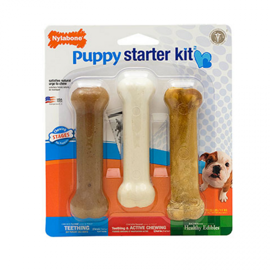 Nylabone puppy starter kit