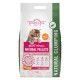 Trouble & Trix Tofu Cat Litter - Cherry Blossom 15L
